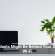 Houseplants Might Be Behind Your Sluggish Wi-Fi