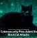 U.S. Cybersecurity Pros Admit Role in BlackCat Attacks